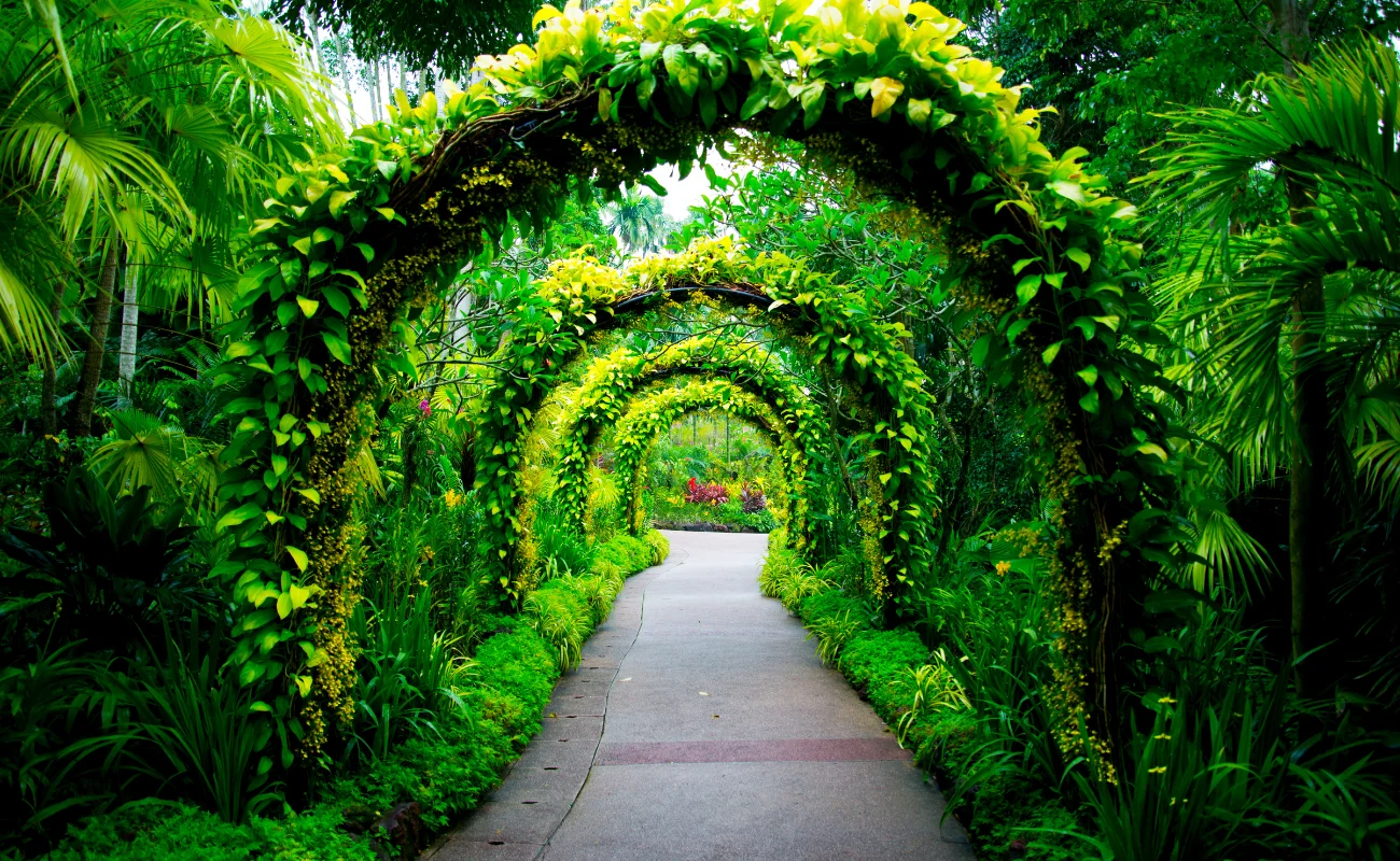 Realizzazione di giardini privati a Mantova: guida pratica e approccio Garden Project