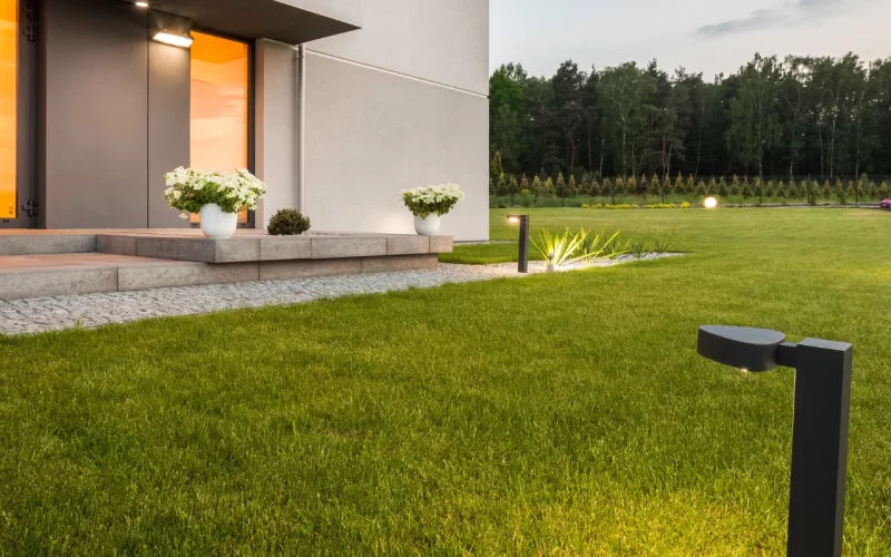 Erba in rotoli per giardini ad Alba: il metodo Farinetti per scegliere e posare il tappeto erboso