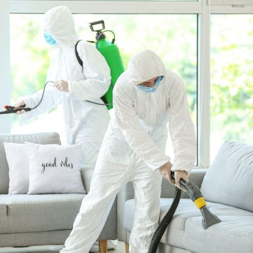 Disinfestazione a Siracusa: come proteggere la tua casa e la tua attività