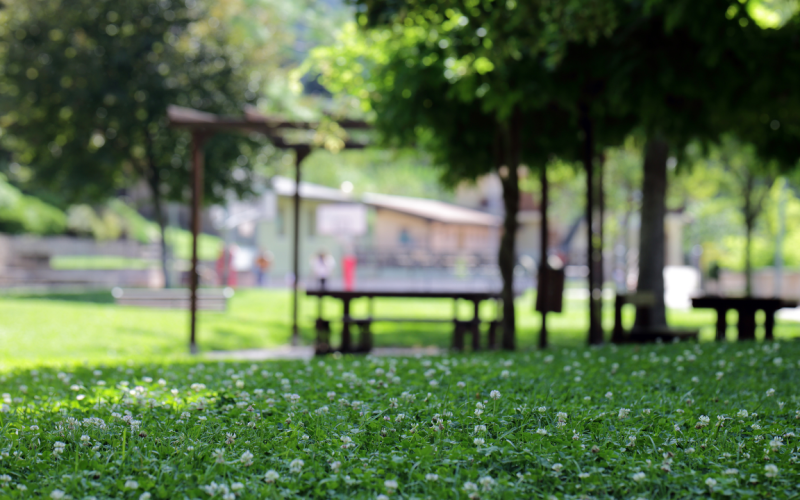 Spazi verdi su misura: soluzioni per la progettazione e creazione di giardini a Salerno