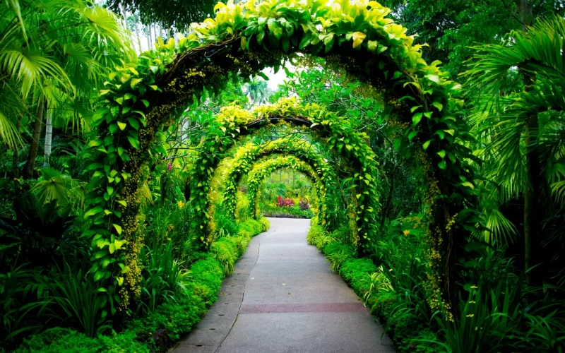 Alba Giardini: metodo e idee per realizzazioni di giardini a Fasano